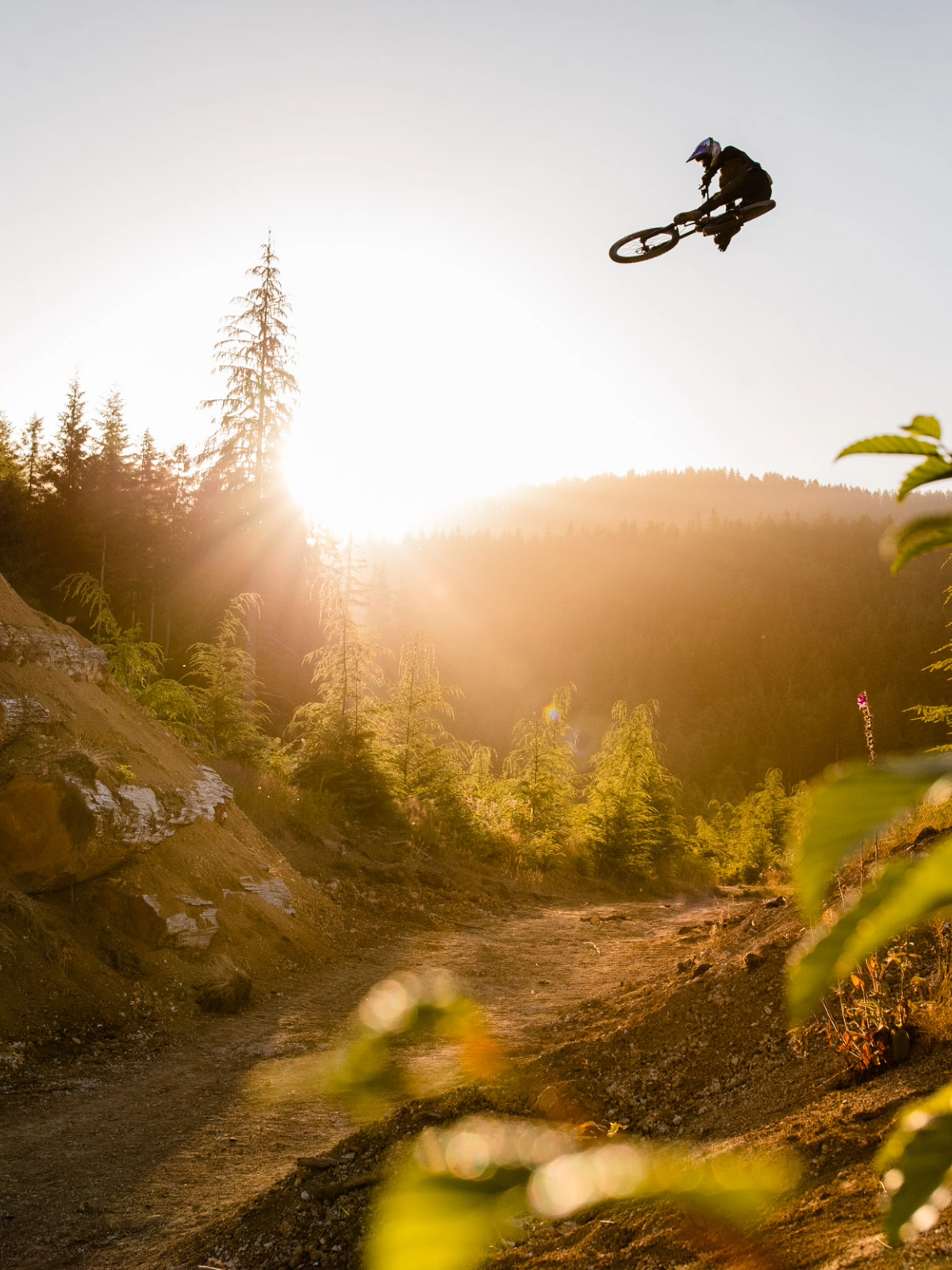 Person on a mountain bike performing a jump with a sunset and forest background